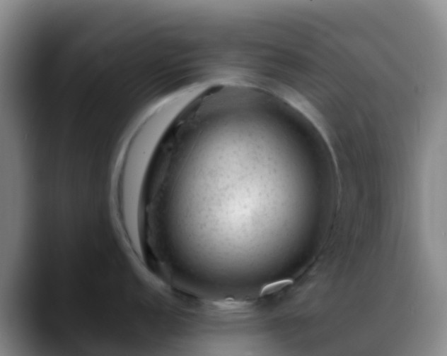 X0000088901152200706151843