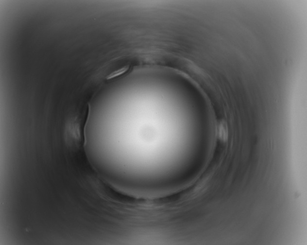 X0000088901155200706151843