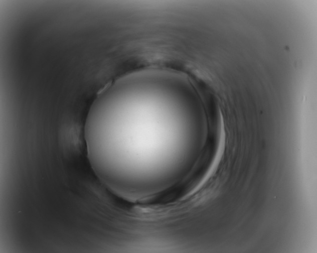 X0000088901156200706151843