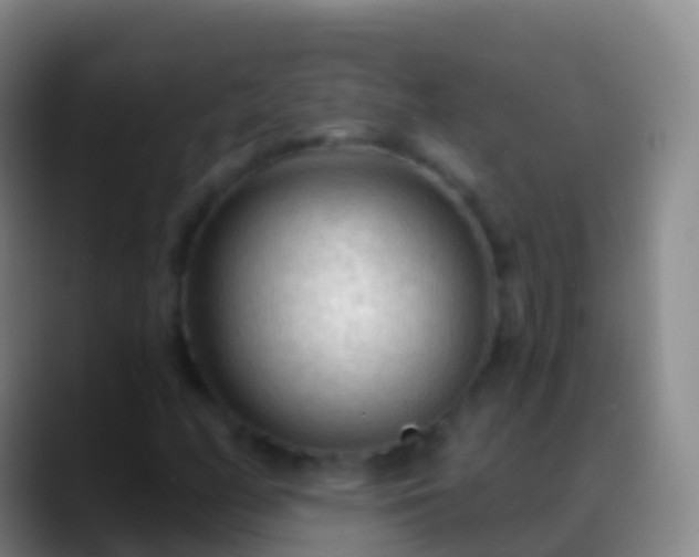 X0000088901158200706151843