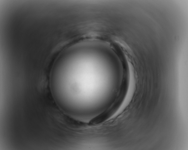 X0000088901160200706151843