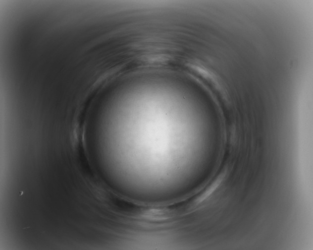 X0000088901161200706151843