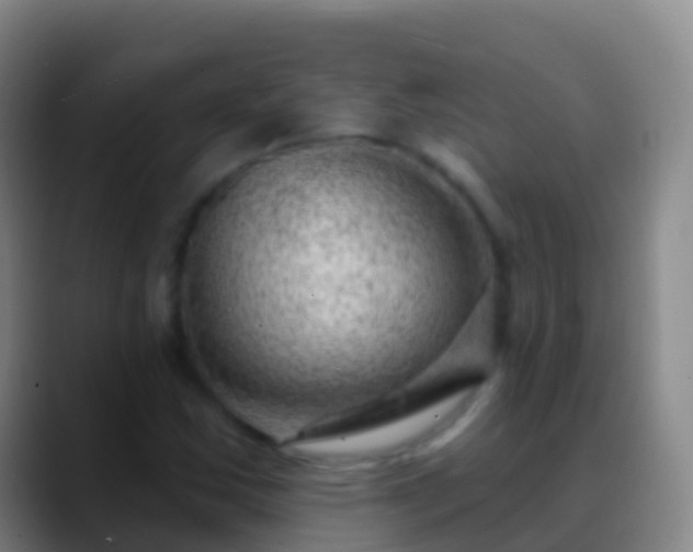 X0000088901163200706151842