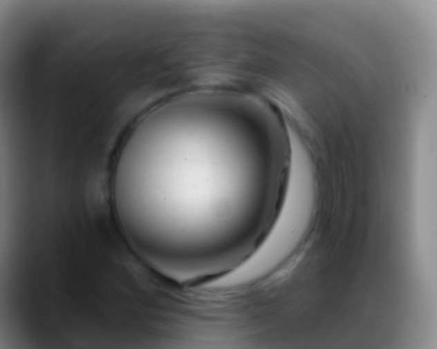 X0000088901164200706151842
