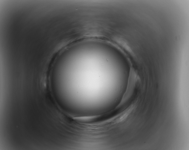 X0000088901165200706151842