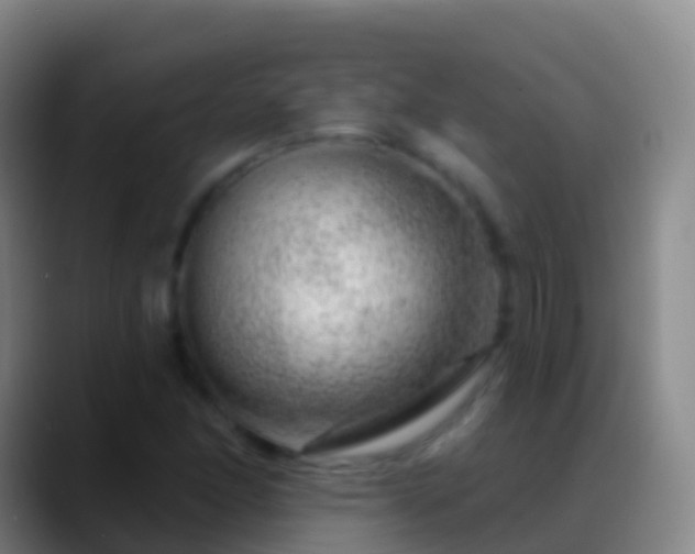 X0000088901166200706151842