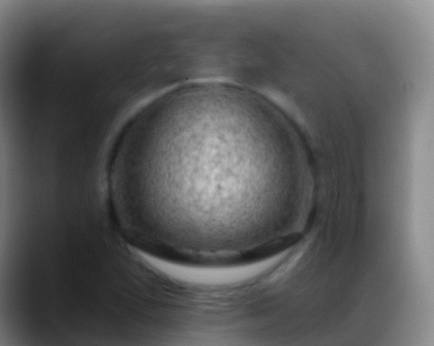 X0000088901167200706151842