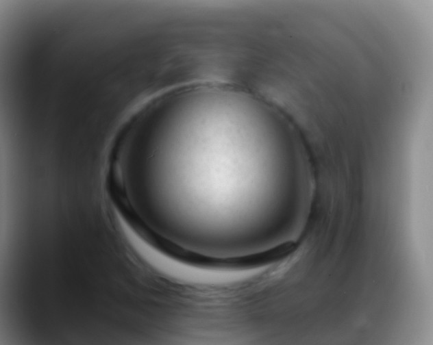 X0000088901168200706151842