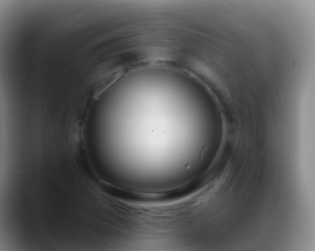 X0000088901169200706151842