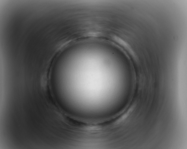 X0000088901170200706151842