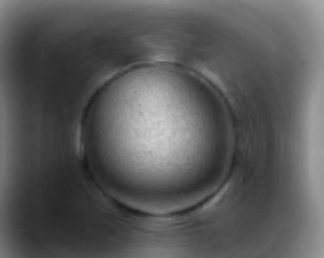 X0000088901171200706151842