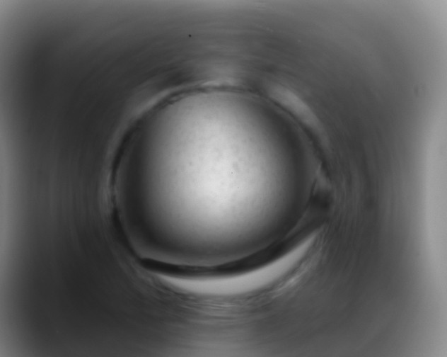 X0000088901172200706151842