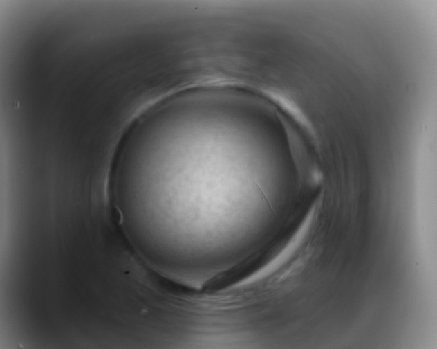 X0000088901173200706151842