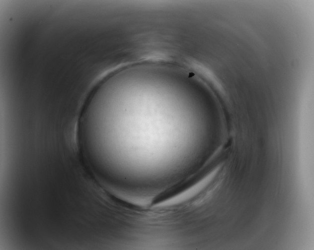 X0000088901174200706151842