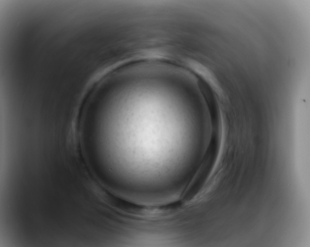 X0000088901176200706151842