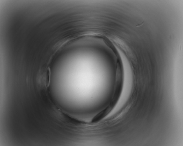 X0000088901177200706151842
