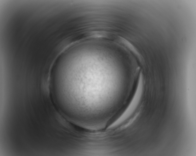 X0000088901178200706151842