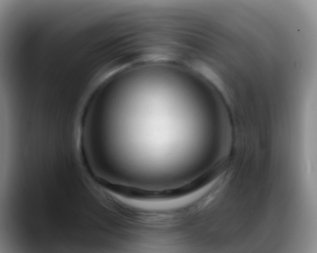 X0000088901179200706151842