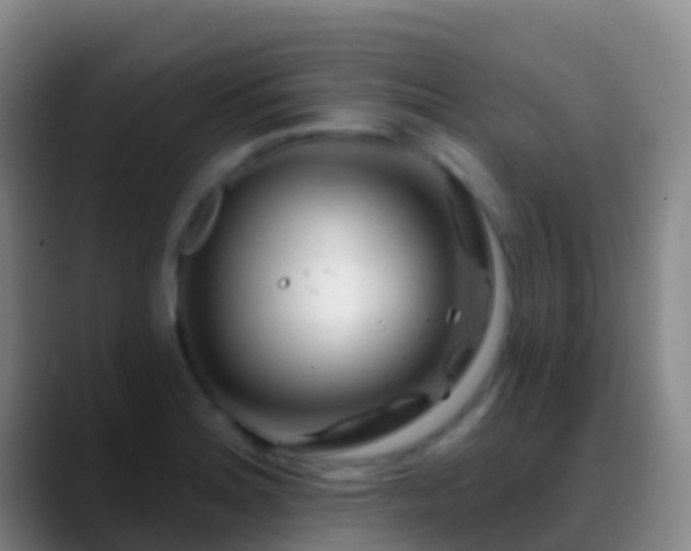 X0000088901180200706151842