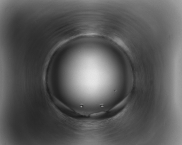 X0000088901181200706151842