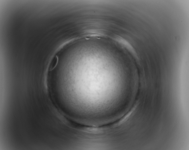 X0000088901182200706151842