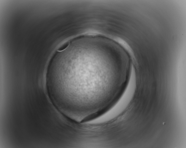 X0000088901183200706151842