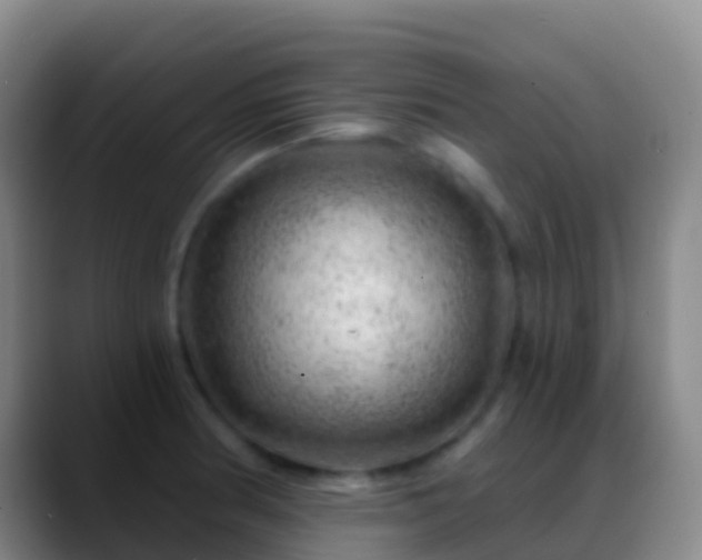 X0000088901186200706151842