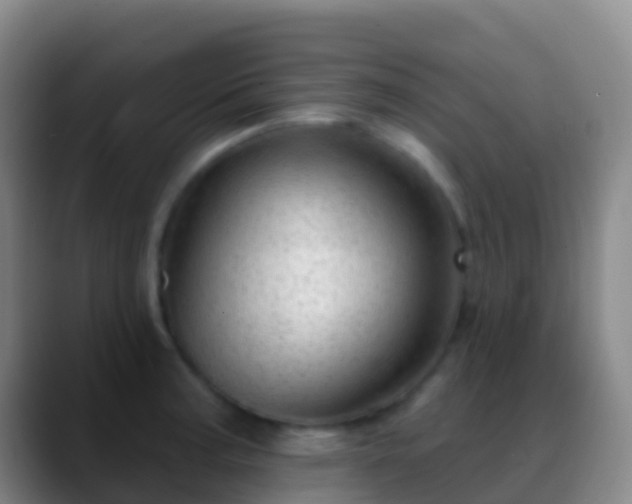 X0000088901187200706151842