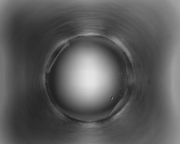 X0000088901189200706151842