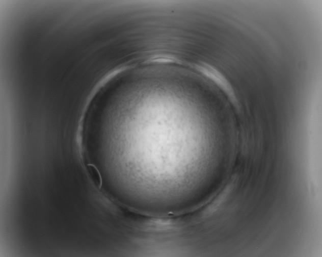 X0000088901190200706151842