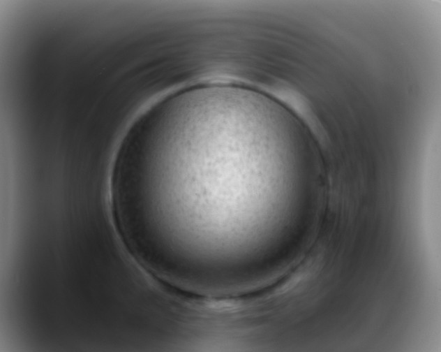 X0000088901191200706151842