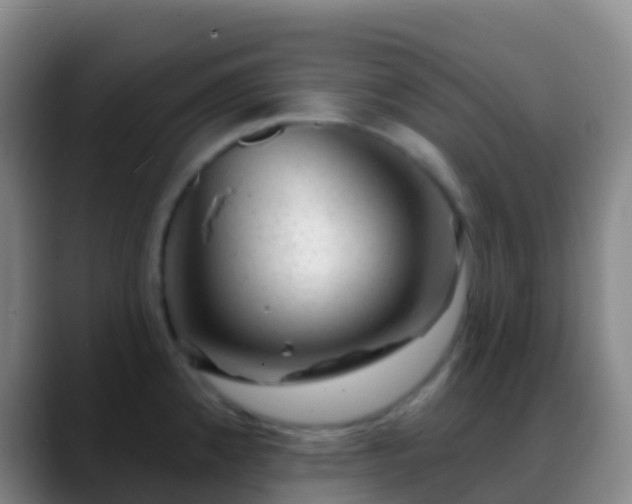 X0000088901192200706151842