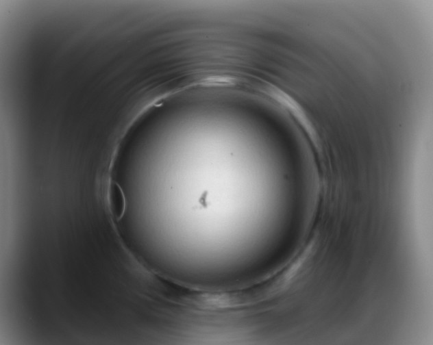 X0000088901194200706151842