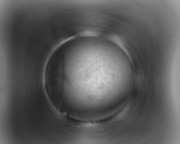 X0000088901195200706151842