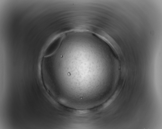 X0000088901196200706151842