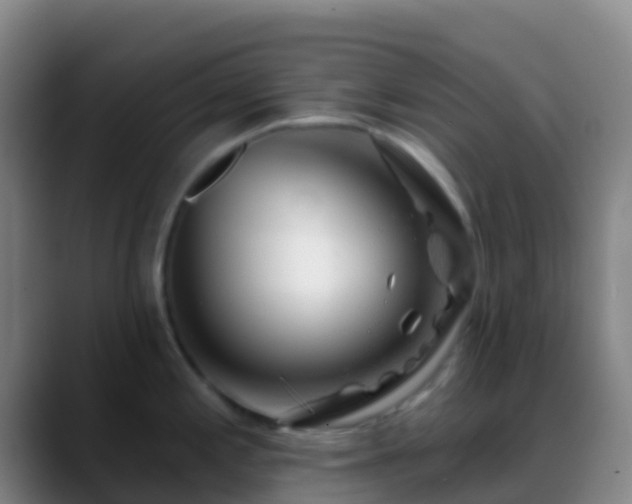 X0000088901197200706151842