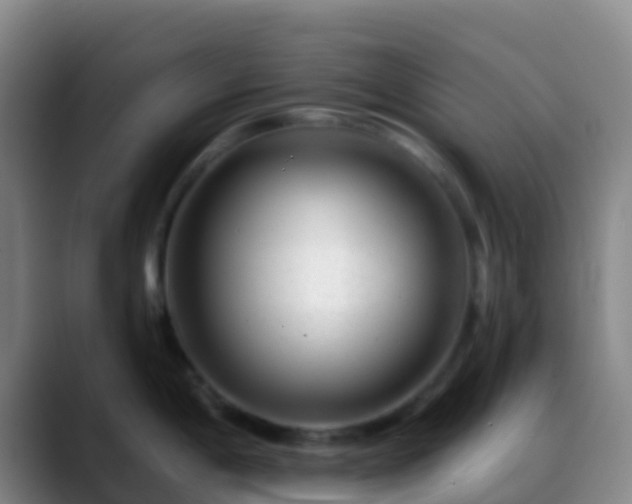 X0000088901198200706151842