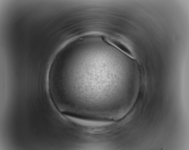 X0000088901199200706151842