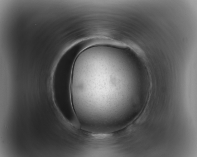X0000088901200200706151842