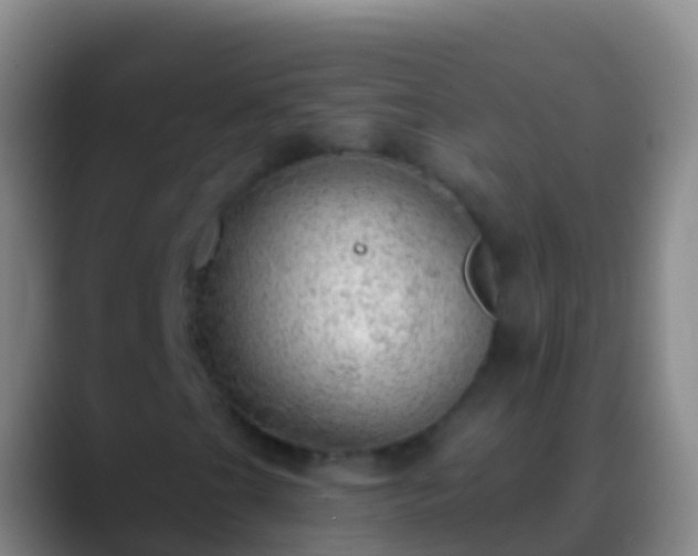 X0000088901201200706151842