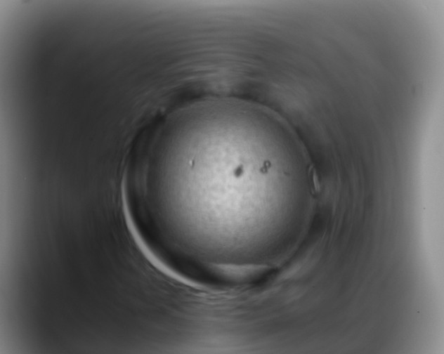 X0000088901202200706151842