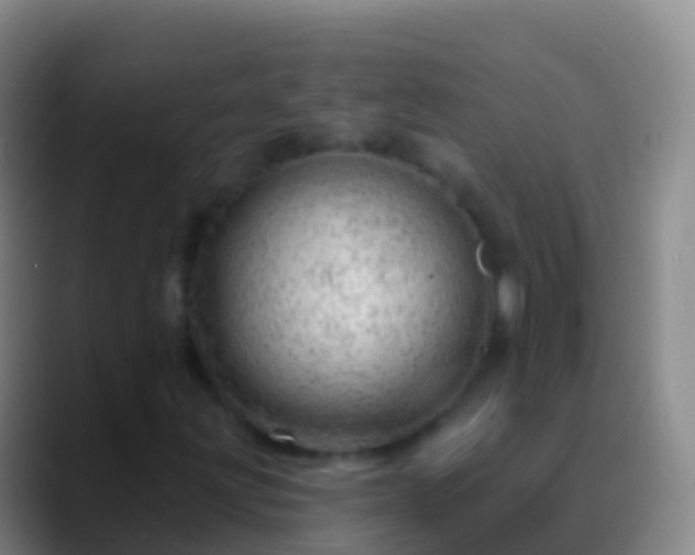 X0000088901203200706151842