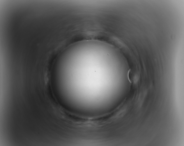 X0000088901204200706151842