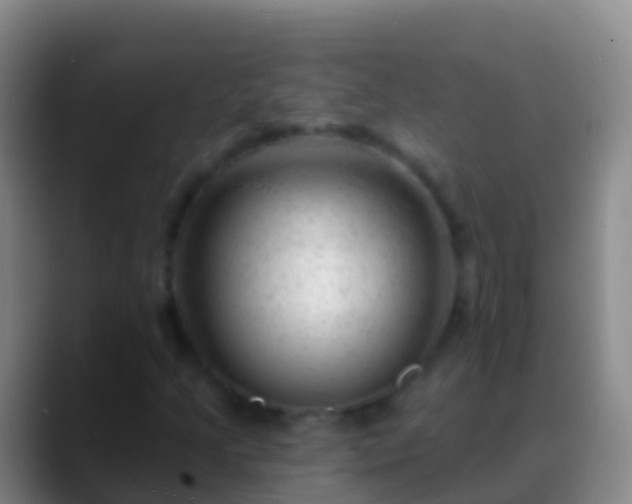 X0000088901205200706151842