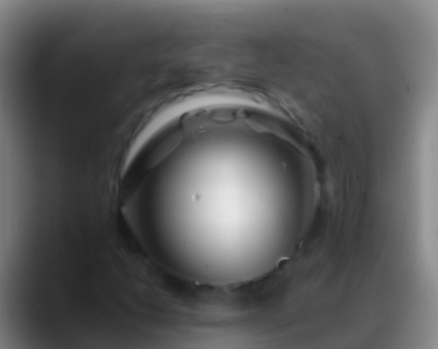 X0000088901206200706151842