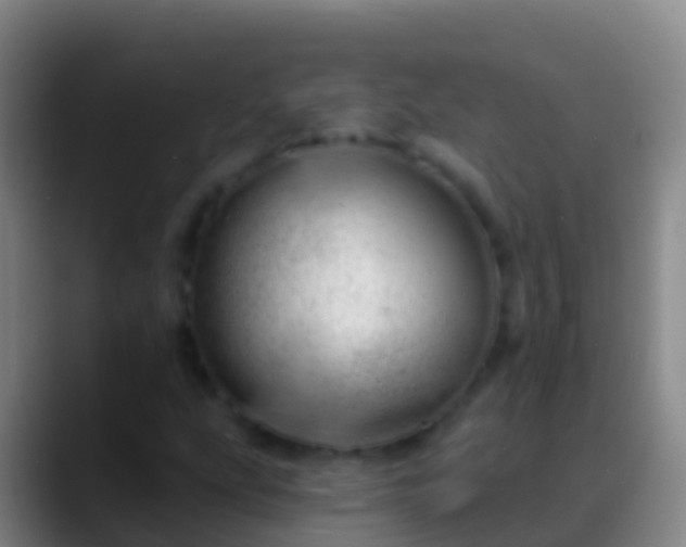 X0000088901207200706151842