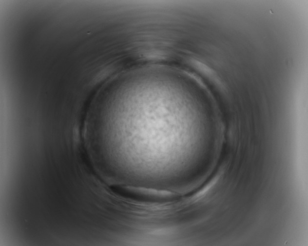 X0000088901209200706151842