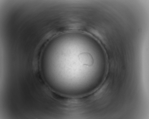 X0000088901211200706151842