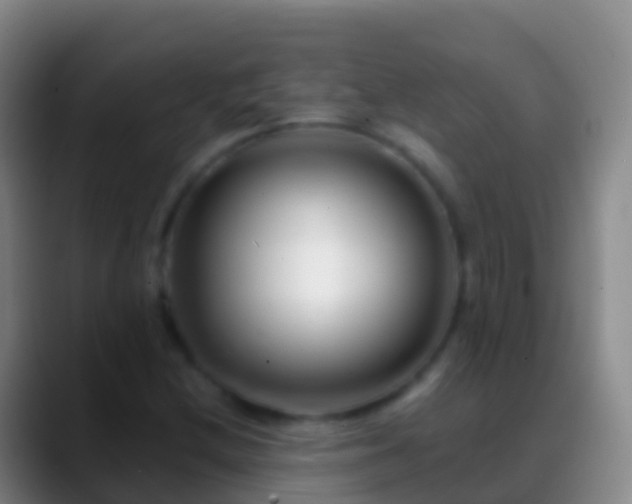X0000088901212200706151842