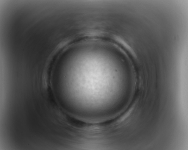X0000088901213200706151842